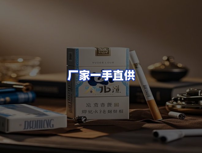 专业团队